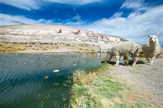 Bolivia