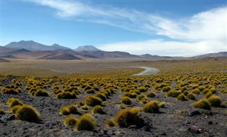 Bolivija