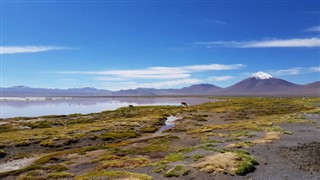 Bolivija