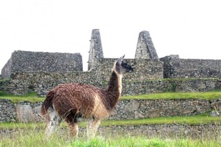 Bolívie