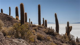 Bolivia