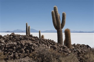 Bolivija