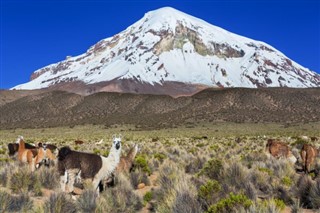 Bolivia