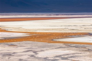 Bolivia