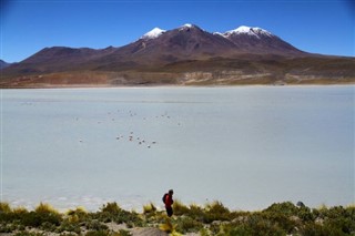 Bolivie