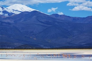 Bolivie