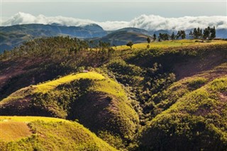 Bolivija