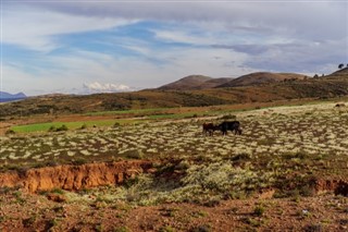 Bolivija