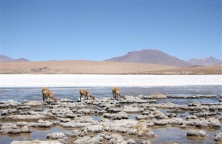 Bolivija