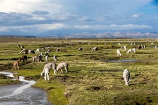 Bolivija