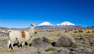 Bolivija