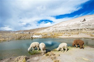 Bolivie