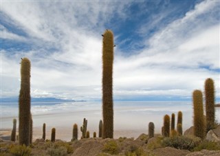 Bolivija