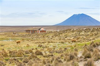 Bolivija