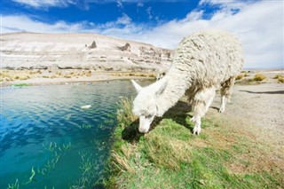 Bolivie