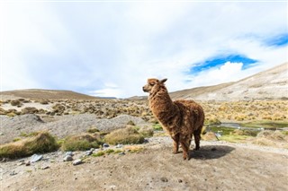 Bolivien