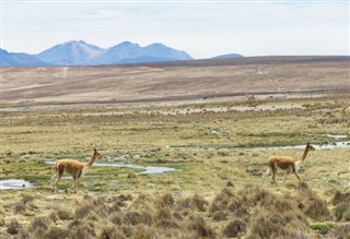 Bolivien