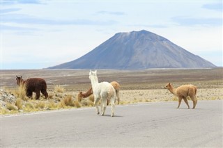 Bolivie