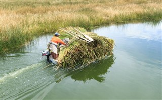 বোলিভিয়া