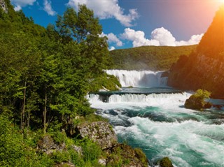 Bosna