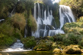 Bosnia