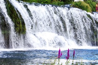 Bosna