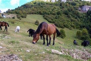 Bosnija