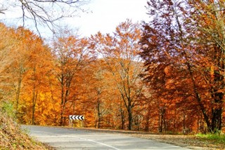 Bosna