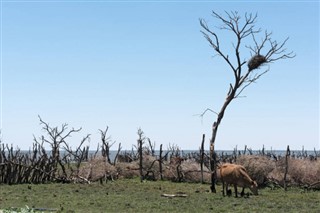 Botswana