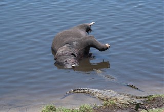 Botswana