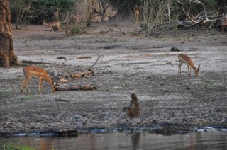 Botswana