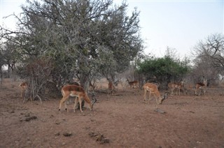 בוטסואנה