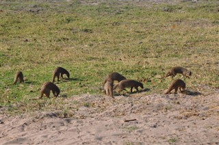 Botswana