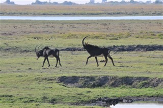 Botswana