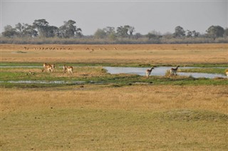 Botswana