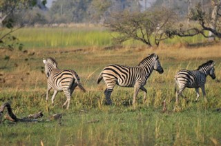 Botswana