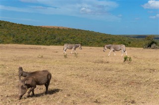 Botswana