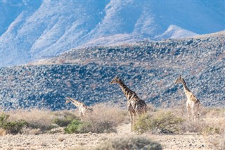 Botswana