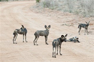 Botswana