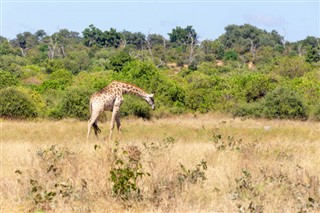 Botswana