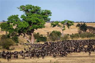 Botswana