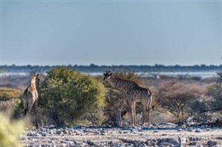 Botswana