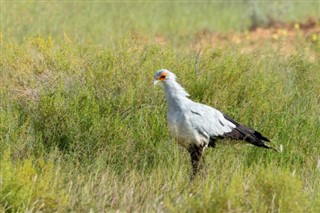 Botswana