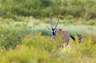 Botswana