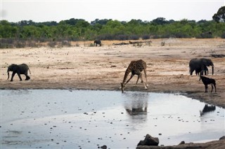 Botswana