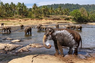 போட்ஸ்வானா
