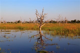 বোট্স্বানা