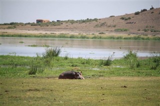 بوتسوانا