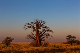 Botswana