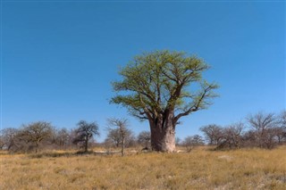 Botswana